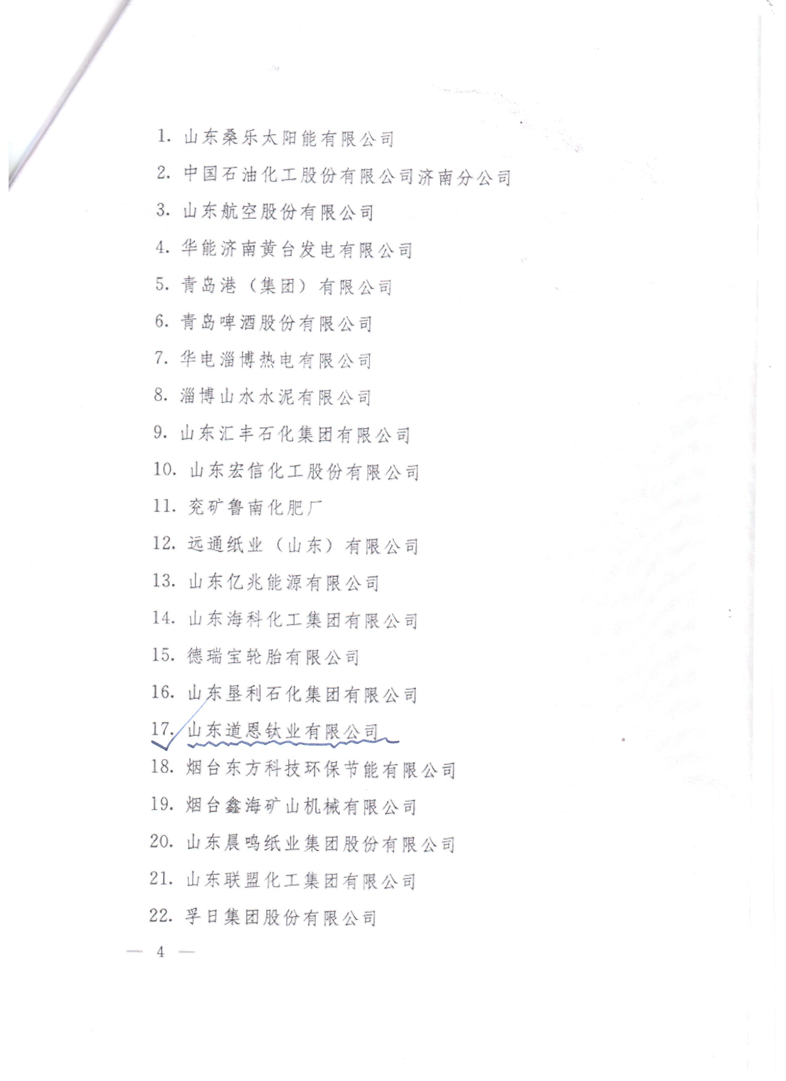 山東道恩鈦業(yè)有限公司節(jié)能先進企業(yè)_4.png